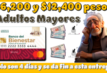 $6,200 y $12,400 pesos para los Adultos Mayores...Solo son 4 días y se da fin a esta entrega 