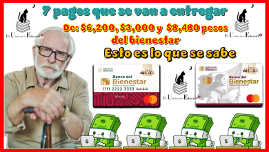 7 pagos se van a entregar de: $6,200, $3,000 y $8,480 pesos | Esto es lo que se sabe