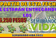 A PARTIR DE ESTA FECHA SE ESTARÁN ENTREGANDO LOS $6,250 PESOS DE SEMBRANDO VIDA 2025 