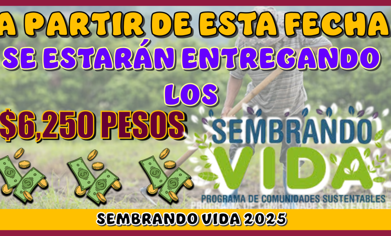 A PARTIR DE ESTA FECHA SE ESTARÁN ENTREGANDO LOS $6,250 PESOS DE SEMBRANDO VIDA 2025 