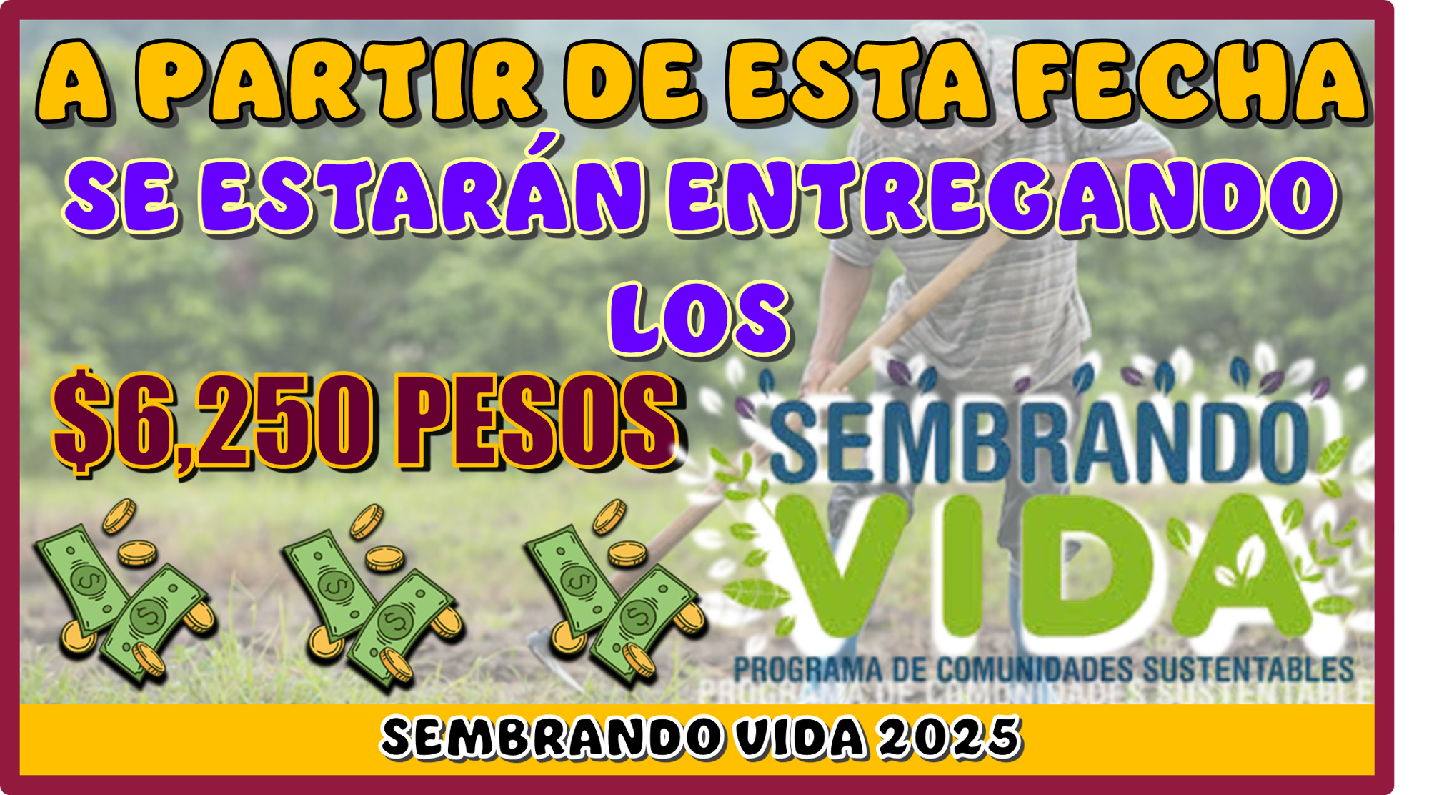 A PARTIR DE ESTA FECHA SE ESTARÁN ENTREGANDO LOS $6,250 PESOS DE SEMBRANDO VIDA 2025 