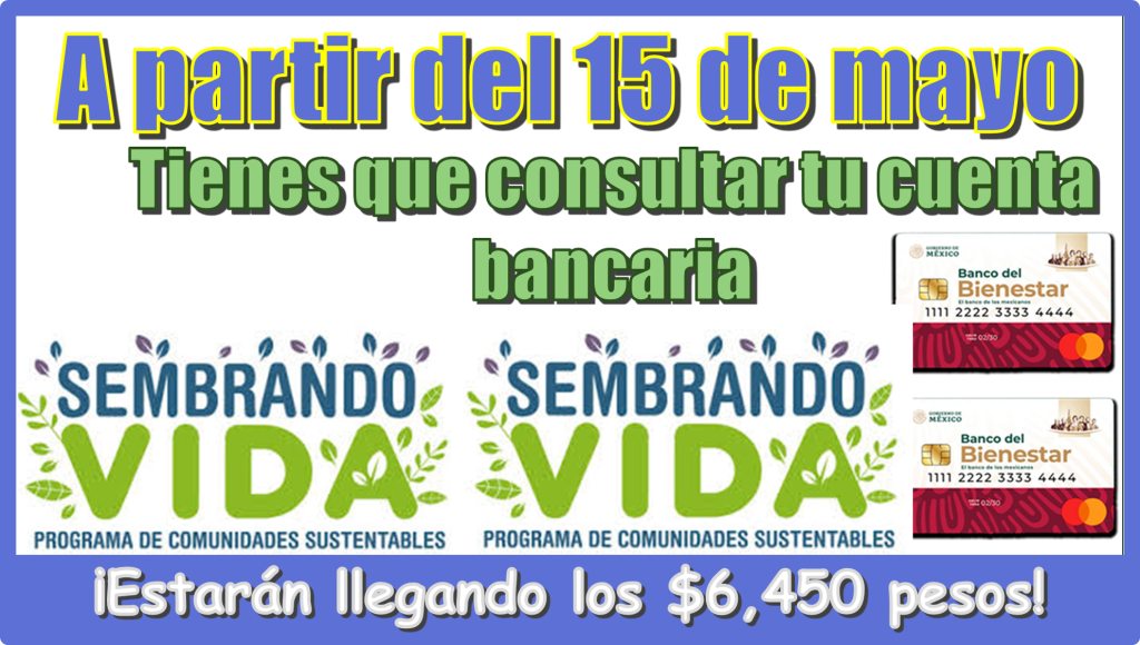 A partir del 15 de mayo | Tienes que consultar tu cuenta bancaria…¡Estarán llegando los $6,450 pesos de tu programa del bienestar!