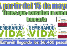 A partir del 15 de mayo | Tienes que consultar tu cuenta bancaria…¡Estarán llegando los $6,450 pesos de tu programa del bienestar!