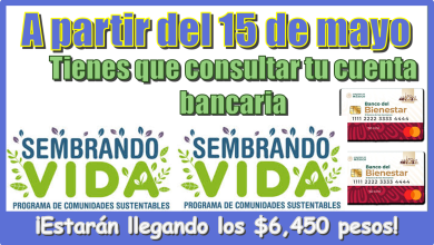 A partir del 15 de mayo | Tienes que consultar tu cuenta bancaria…¡Estarán llegando los $6,450 pesos de tu programa del bienestar!