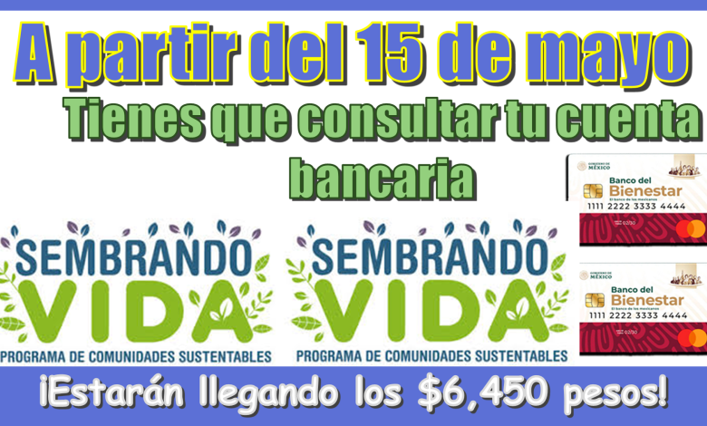 A partir del 15 de mayo | Tienes que consultar tu cuenta bancaria…¡Estarán llegando los $6,450 pesos de tu programa del bienestar!