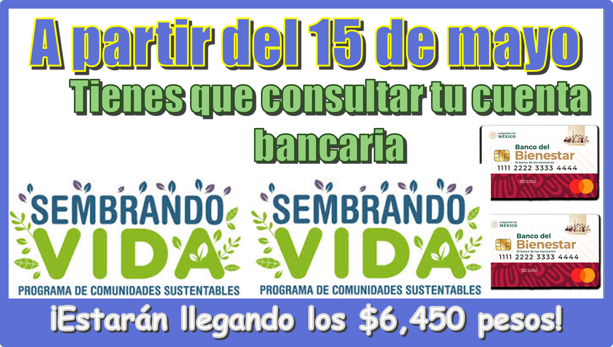A partir del 15 de mayo | Tienes que consultar tu cuenta bancaria…¡Estarán llegando los $6,450 pesos de tu programa del bienestar!