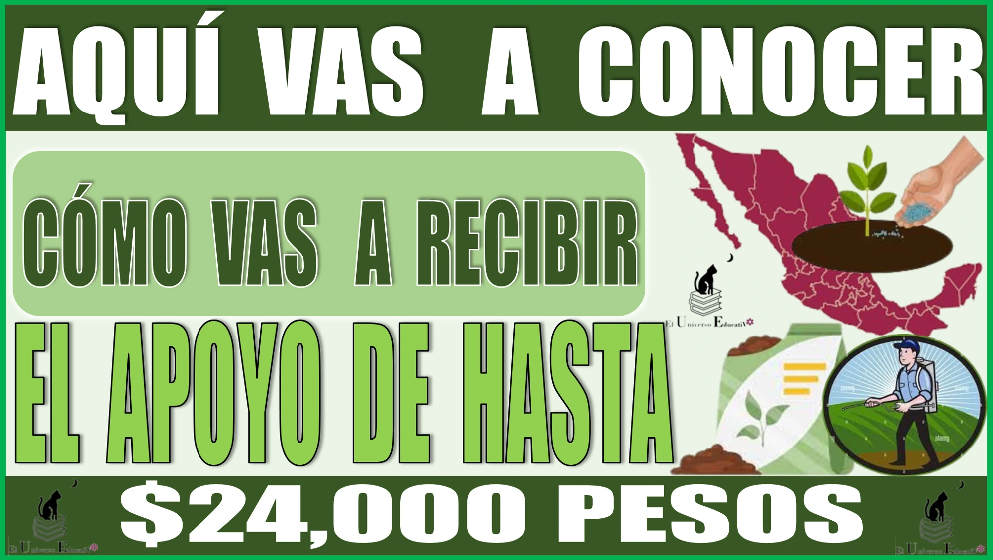 AQUÍ CONOCERÁS CÓMO VAS A RECIBIR EL APOYO DE HASTA $24,000 PESOS | PROGRAMA DE BIENESTAR 