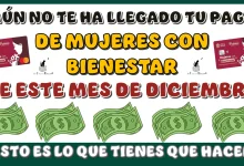 ¿AÚN NO TE HA LLEGADO TU PAGO DE MUJERES CON BIENESTAR DE ESTE MES DE DICIEMBRE?...ESTO ES LO QUE TIENES QUE HACER