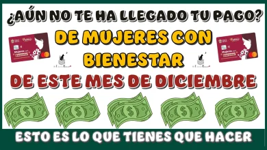 ¿AÚN NO TE HA LLEGADO TU PAGO DE MUJERES CON BIENESTAR DE ESTE MES DE DICIEMBRE?...ESTO ES LO QUE TIENES QUE HACER