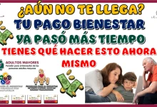 ¿AÚN NO TE LLEGA TU PAGO BIENESTAR?… YA PASÓ MÁS TIEMPO, DEBERÁS DE HACER ESTO AHORA MISMO 