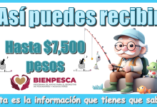 Así puedes recibir hasta $7,500 pesos…Esta es la información que tienes que saber