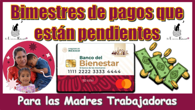 Bimestres de pagos que están pendientes para las Madres Trabajadoras