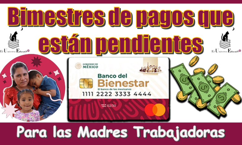 Bimestres de pagos que están pendientes para las Madres Trabajadoras