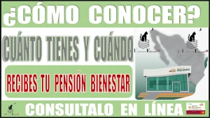 ¿CÓMO CONOCER CUÁNTO TIENES Y CUÁNDO RECIBES TU PENSIÓN BIENESTAR? | CONSULTALO EN LÍNEA 