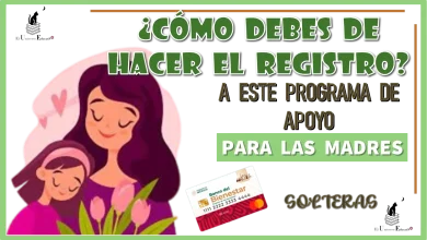 ¿CÓMO DEBES DE HACER EL REGISTRO A ESTE PROGRAMA DE APOYO PARA LAS MADRES SOLTERAS?