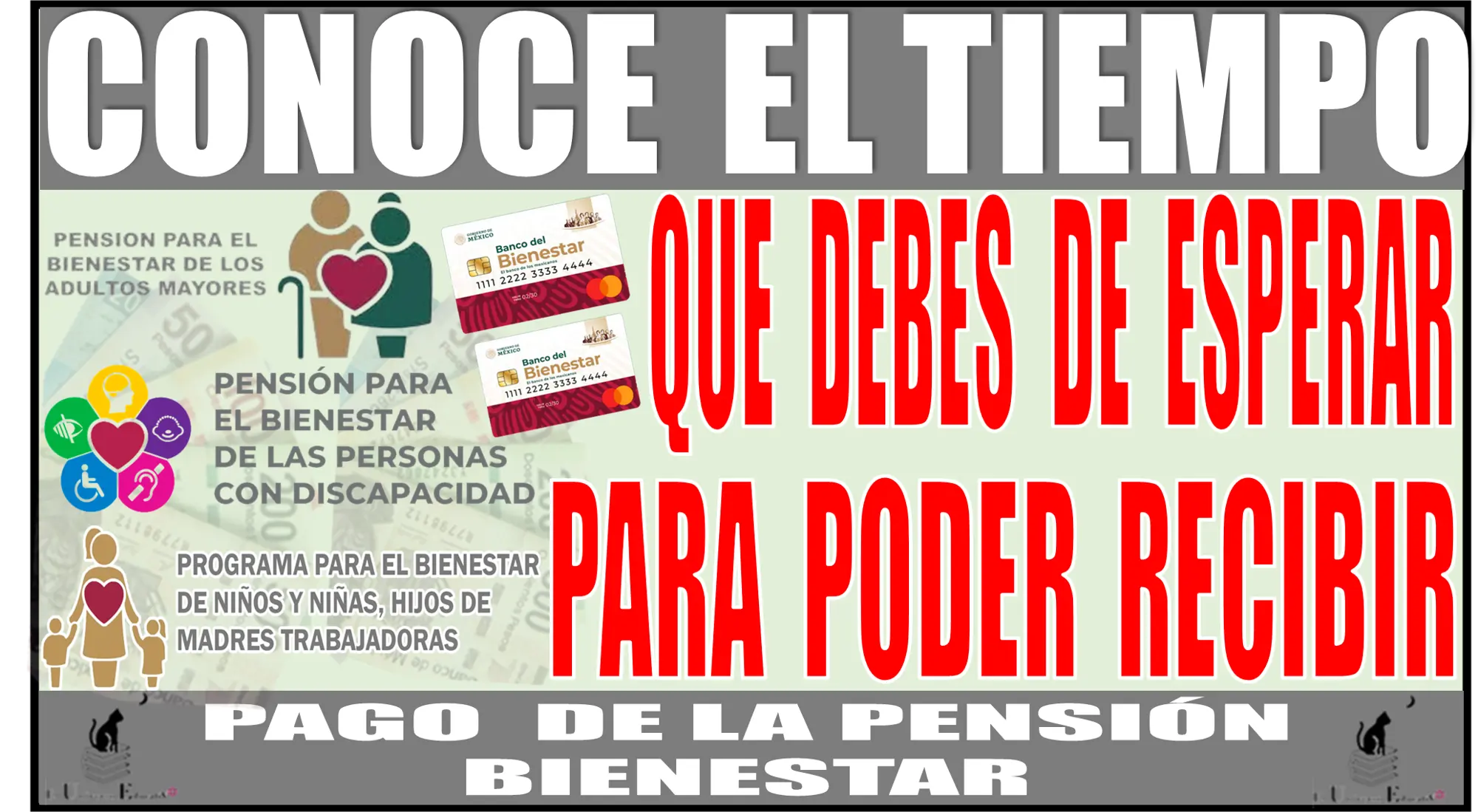 CONOCE EL TIEMPO QUE DEBES DE ESPERAR PARA PODER RECIBIR OTRO PAGO DE LA PENSIÓN PARA EL BIENESTAR | 2024 