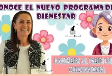 CONOCE EL NUEVO PROGRAMA DEL BIENESTAR | MANTÉNTE AL TANTO DE LA CONVOCATORIA 