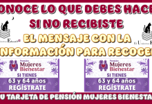 CONOCE LO QUE DEBES HACER SI NO RECIBISTE EL MENSAJE CON LA INFORMACIÓN PARA RECOGER TU TARJETA DE PENSIÓN MUJERES BIENESTAR 