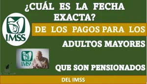 ¿CUÁL ES LA FECHA EXACTA DE LOS PAGOS PARA LOS ADULTOS MAYORES QUE SON PENSIONADOS DEL IMSS? 