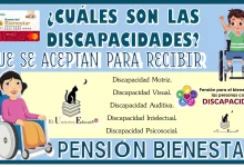 ¿CUÁLES SON LAS DISCAPACIDADES QUE SE ACEPTAN PARA RECIBIR LA PENSIÓN BIENESTAR PARA LAS PERSONAS CON BIENESTAR?