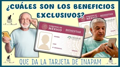 ¿CUÁLES SON LOS BENEFICIOS EXCLUSIVOS QUE DA LA TARJETA DE INAPAM?  | CONÓCELOS AQUÍ 