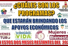 ¿CUÁLES SON LOS PROGRAMAS QUE ESTARÁN BRINDANDO LOS APOYOS ECONÓMICOS EN ESTOS DOS MESES RESTANTES DEL AÑO 2024?