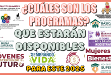 CUÁLES SON LOS PROGRAMAS QUÉ ESTARÁN DISPONIBLES PARA ESTE 2025