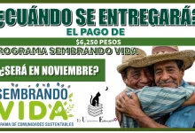 CUÁNDO SE ENTREGARÁ EL PAGO DE $6,250 PESOS DEL PROGRAMA SEMBRANDO VIDA SERÁ EN NOVIEMBRE