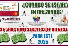 ¿CUÁNDO SE ESTARÁN INICIANDO LOS PAGOS BIMESTRALES DEL BIENESTAR PARA ESTE 2025?