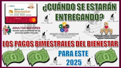 ¿CUÁNDO SE ESTARÁN INICIANDO LOS PAGOS BIMESTRALES DEL BIENESTAR PARA ESTE 2025?