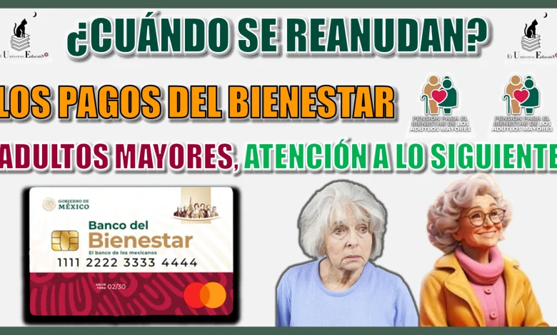 ¿CUÁNDO SE REANUDAN LOS PAGOS DEL BIENESTAR? | ADULTOS MAYORES, ATENCIÓN A LO SIGUIENTE 