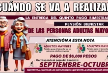 ¿CUÁNDO SE VA A REALIZAR LA ENTREGA DEL QUINTO PAGO? | PENSIÓN BIENESTAR DE LAS PERSONAS ADULTAS MAYORES 