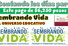 Contando los días para este pago de $6,250 pesos Sembrando Vida