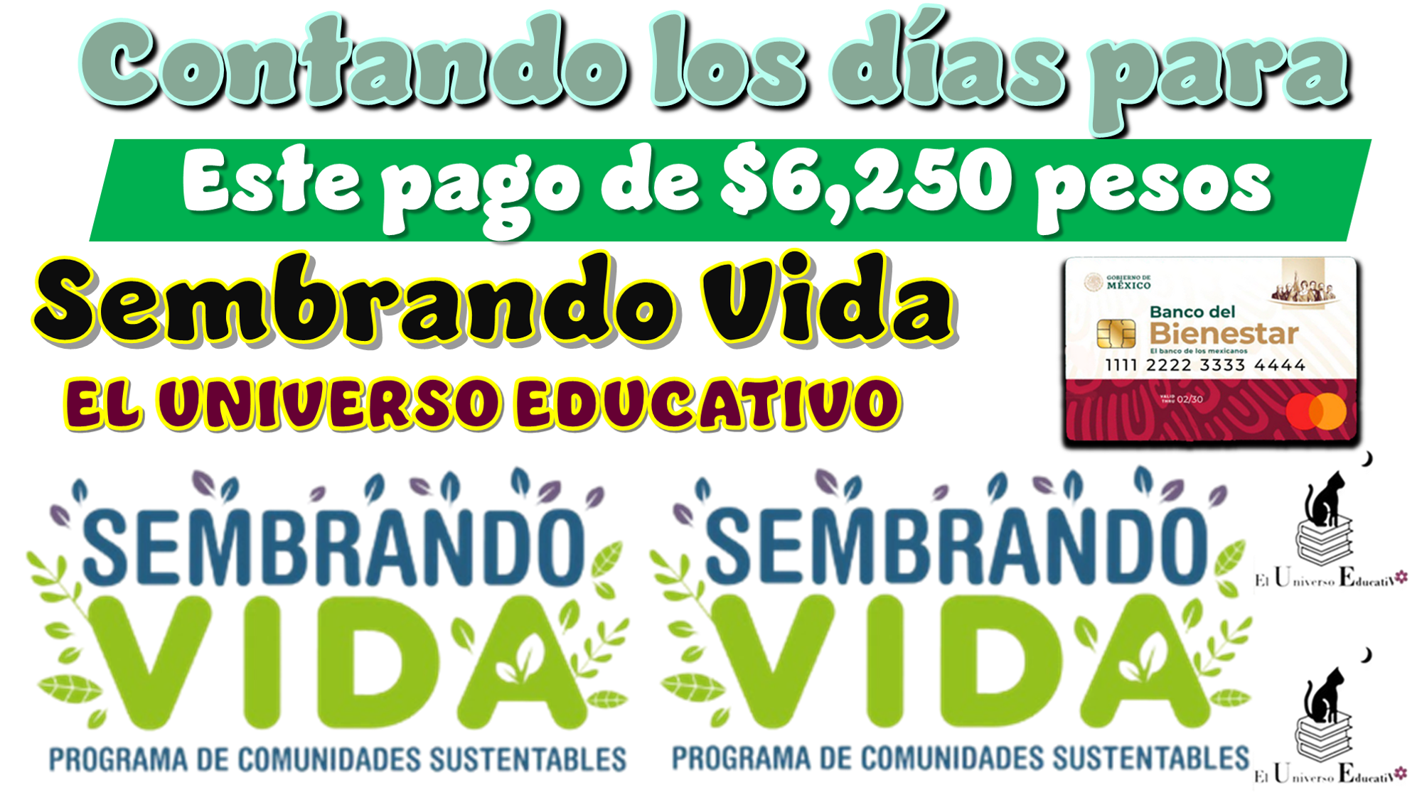 Contando los días para este pago de $6,250 pesos Sembrando Vida