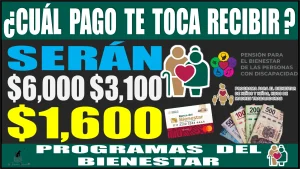 ¿Cuál pago te toca recibir a ti? Serán $6,000 + $3,100 + $1,600 pesos de estos Programas para el Bienestar de este año 2024