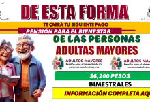 DE ESTA FORMA TE CAERÁ TU SIGUIENTE PAGO | PENSIÓN PARA EL BIENESTAR DE LAS PERSONAS ADULTAS MAYORES 2025 