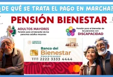 ¿DE QUÉ SE TRATA EL PAGO EN MARCHA DE LA PENSIÓN PARA EL BIENESTAR?