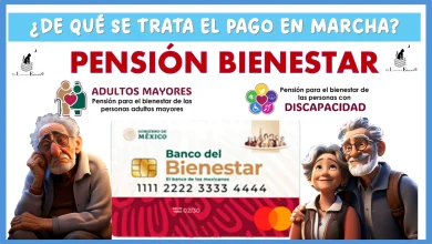 ¿DE QUÉ SE TRATA EL PAGO EN MARCHA DE LA PENSIÓN PARA EL BIENESTAR?