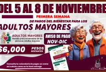 DEL 5 AL 8 DE NOVIEMBRE | PRIMERA SEMANA DE PAGOS DEL BIENESTAR PARA LOS ADULTOS MAYORES 