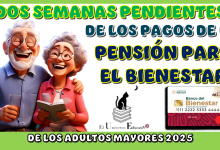 DOS SEMANAS PENDIENTES DE LOS PAGOS DE LA PENSIÓN PARA EL BIENESTAR DE LOS ADULTOS MAYORES DE ESTE 2025