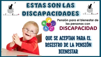 ESTAS SON LAS DISCAPACIDADES QUE SE AEPTAN PARA EL REGISTRO A LA PENSIÓN BIENESTAR 