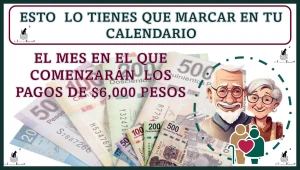 ESTO LO TIENES QUE MARCAR EN TU CALENDARIO | EL MES EN EL QUE COMENZARÁN LOS PAGOS DE $6,000 PESOS | PENSIÓN BIENESTAR