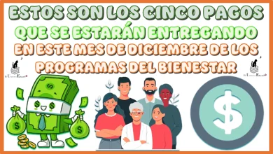 ESTOS SON LOS CINCO PAGOS QUE SE ESTARÁN ENTREGANDO EN ESTE MES DE DICIEMBRE DE ESTOS PROGRAMAS DEL BIENESTAR 