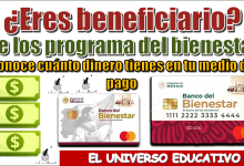 ¿Eres beneficiario de los programas del bienestar?, conoce cuánto dinero tienes en tu medio de pago 
