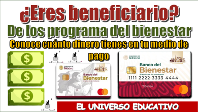 ¿Eres beneficiario de los programas del bienestar?, conoce cuánto dinero tienes en tu medio de pago 