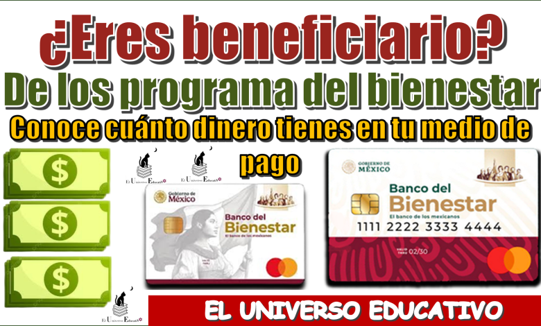 ¿Eres beneficiario de los programas del bienestar?, conoce cuánto dinero tienes en tu medio de pago 