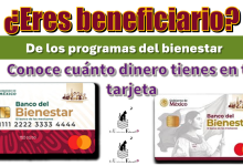 ¿Eres beneficiario de los programas del bienestar?, conoce cuánto dinero tienes en tu tarjeta