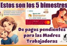 Estos son los 5 bimestres de pagos pendientes para las Madres Trabajadoras 