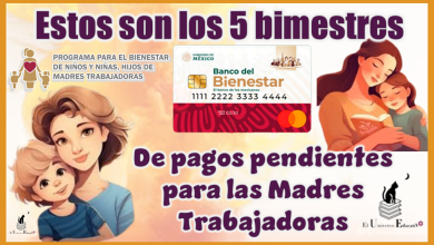 Estos son los 5 bimestres de pagos pendientes para las Madres Trabajadoras 