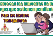 Estos son los bimestres de los pagos que se tienen pendientes para las Madres Trabajadoras